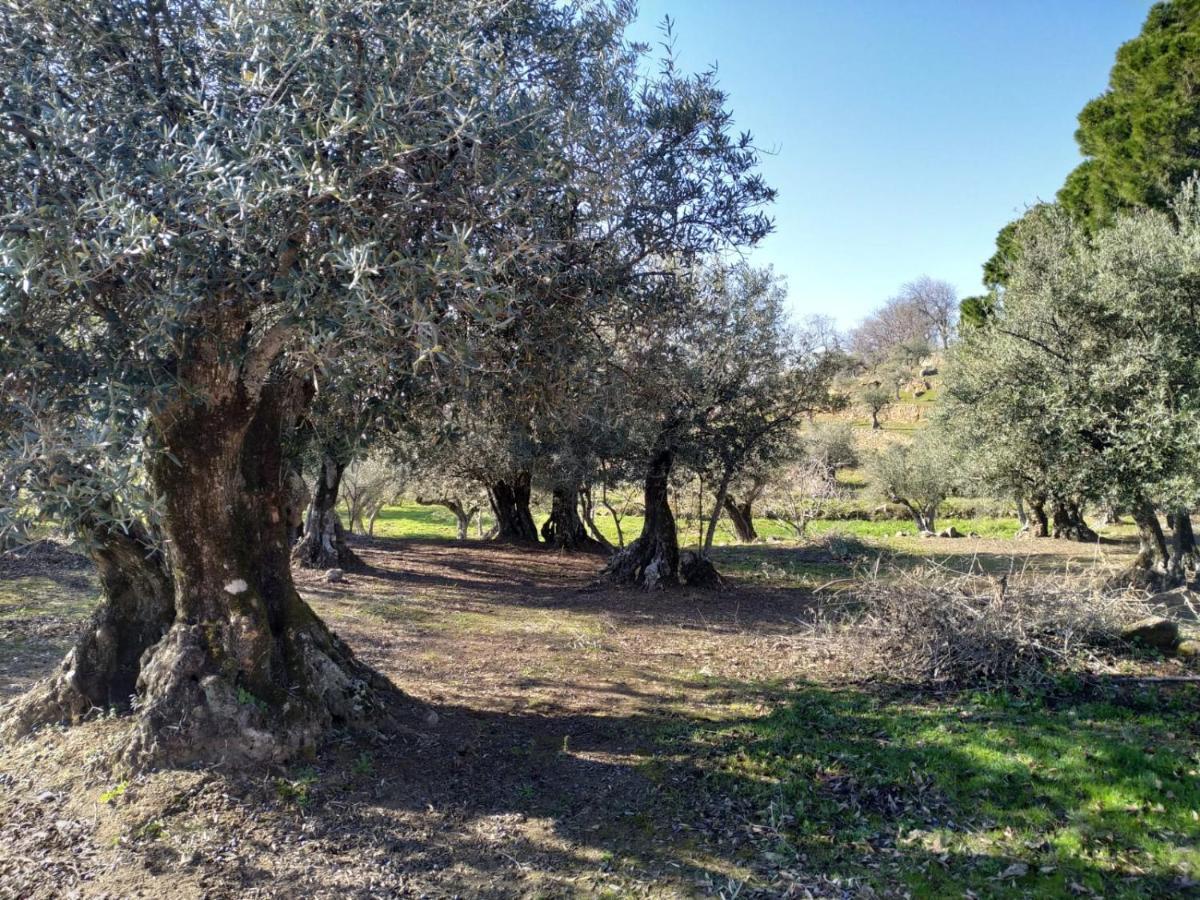 Casa Rural La Picota Valverde de la Vera Екстер'єр фото