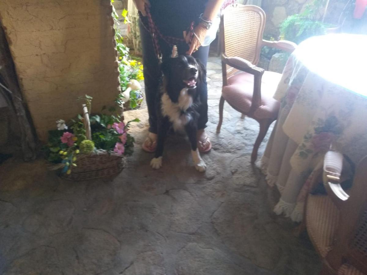 Casa Rural La Picota Valverde de la Vera Екстер'єр фото